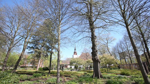 Blick in den Prinzesshofpark vom Medizinischen Versorgungszentrum aus, im Hintergrund der Kirchturm der St. Laurentii-Kirche.