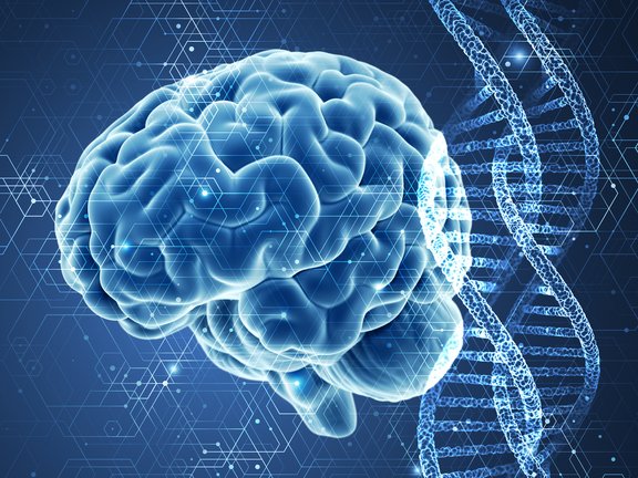 Gehirn und DNA (Bild virtuell angemutet) 